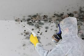 Best Water Damage & Mold Remediation  in Bassett, VA